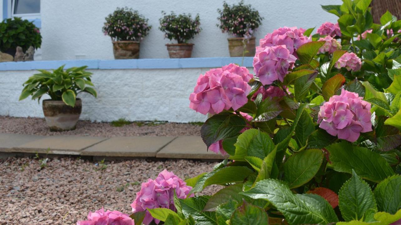Bed and Breakfast Springbank Mallaig Exterior foto